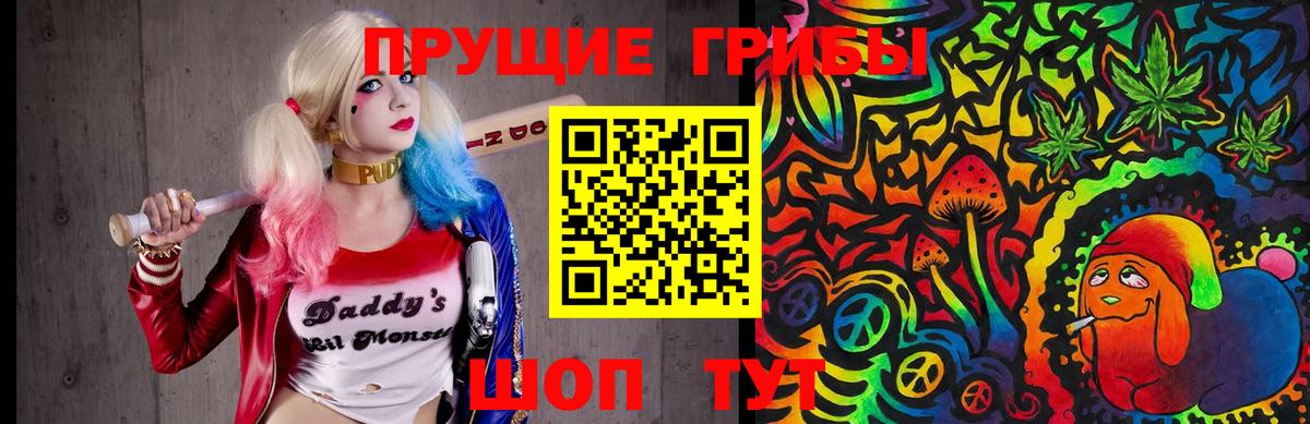 Галлюциногенные грибы Psilocybine cubensis  купить   Вход с VPN  Братск  Псилоцибиновые грибы Psilocybe 