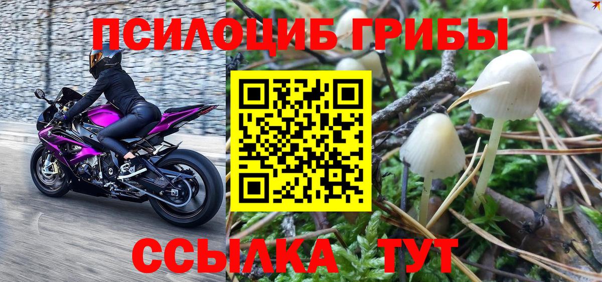 Галлюциногенные грибы Cubensis Братск