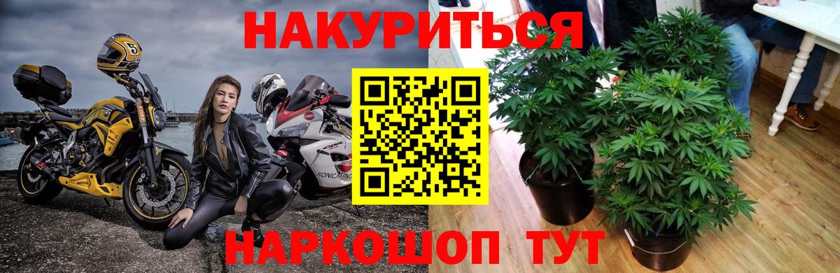 Конопля SATIVA & INDICA  Бошки марихуана Bruce Banner  Вход с VPN  МАРИХУАНА Amnesia  Братск  Каннабис гибрид 